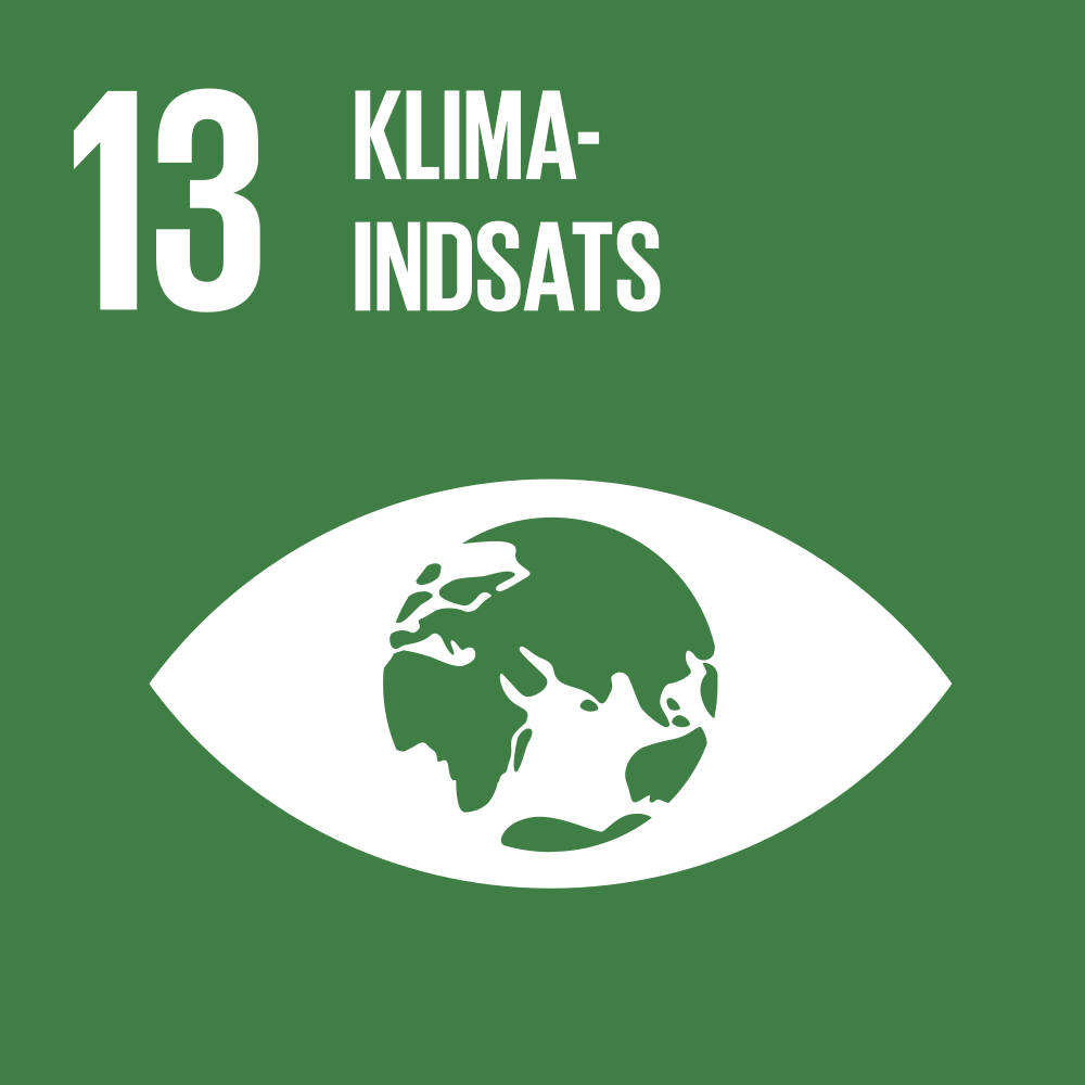 Bæredygtighed SDG 13